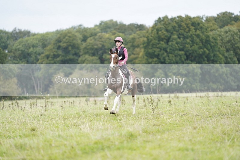 _DSC6851 - Time at Photographer 10:13 to 10:42