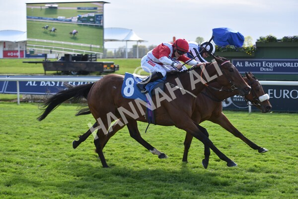yr13052021r7-36 - Race 7 4.50pm Autohorn Stakes
