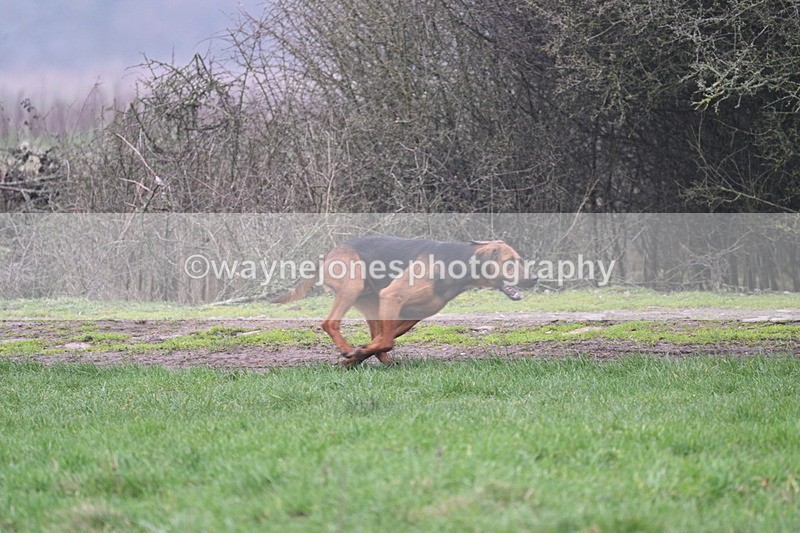 WJ7_0606 - Line 3 cam A