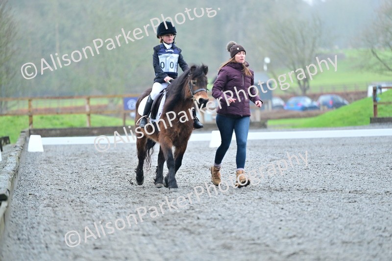 20260125-0868 - Class 9a - Walk Trot Assisted