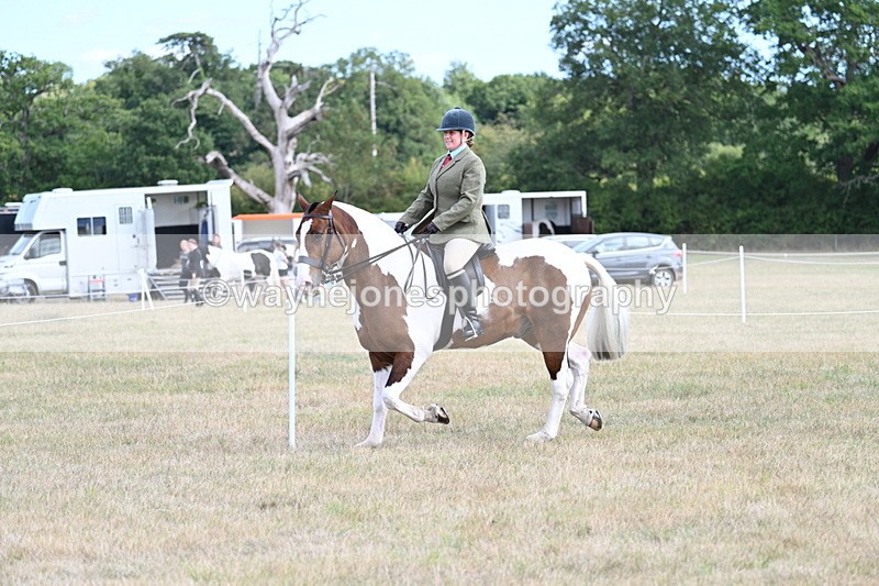 WJ7_6937 - Class 14 Ridden Coloured