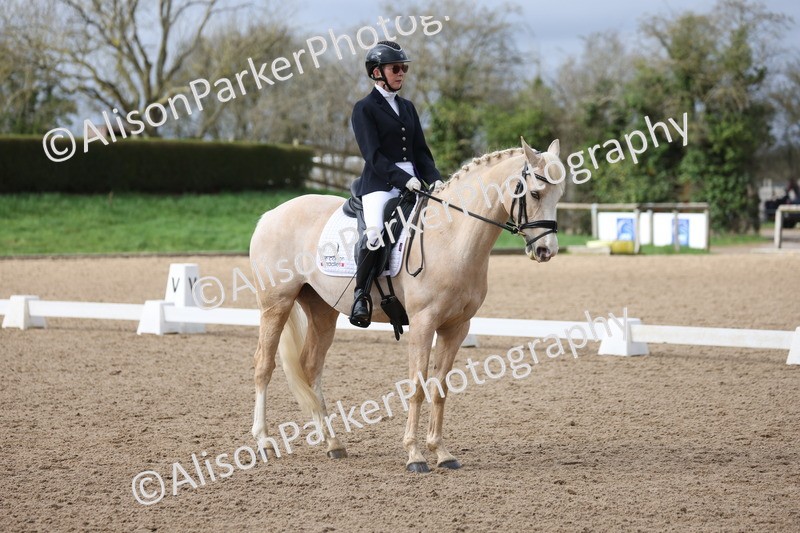 20260301-0481 - Class 3 - Novice 4