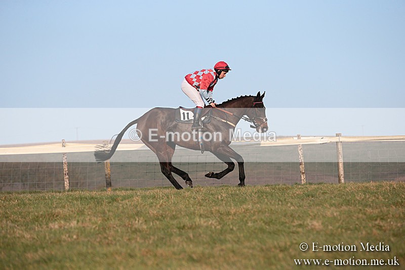 PtP 230219 598 - Vine & Craven Point-To-Point - Barbury 23/02/19