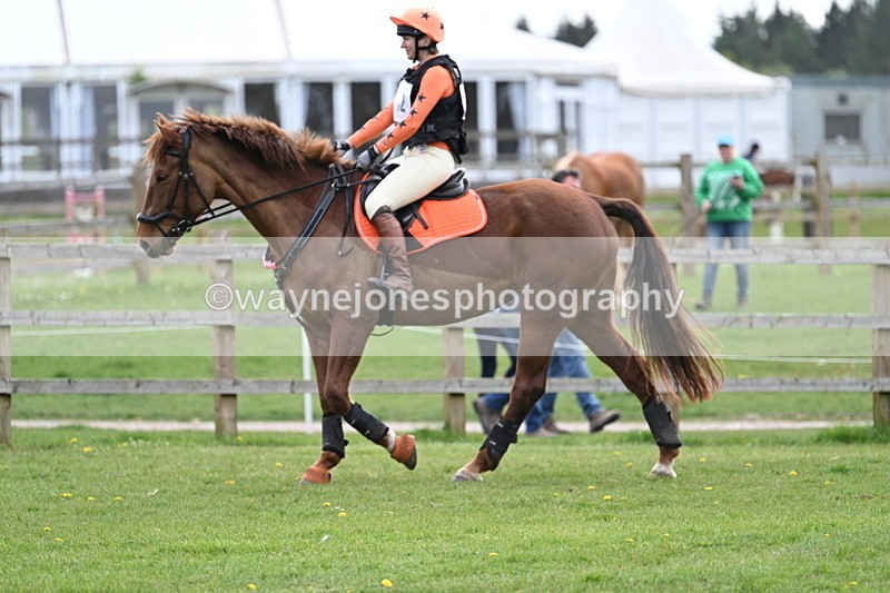 WJ7_5938 - 60cm Time 10:56 to 11:10