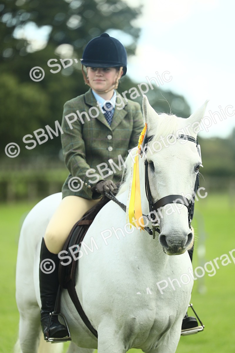 SBM_42233 - S29 - Novice & Newcomers Working Hunter Pony