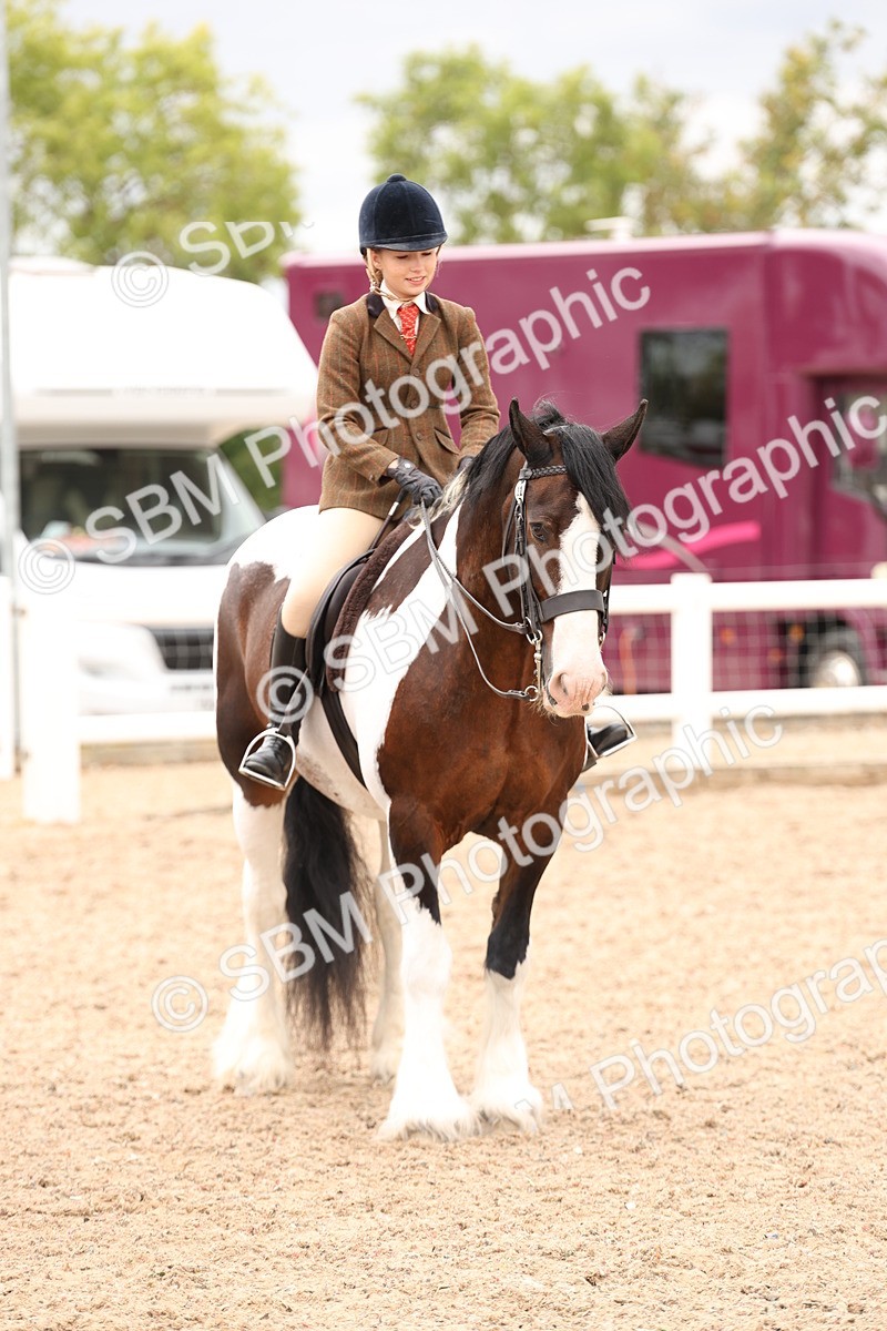 SBM_19702 - Class 216 - Ridden Traditional - Native Cob