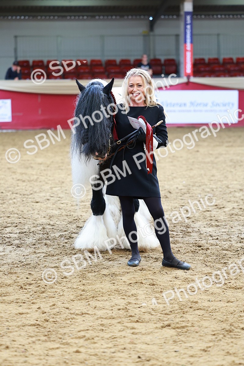 SBM_18717 - Class 903 - Sup Final - IH Pre Vet
