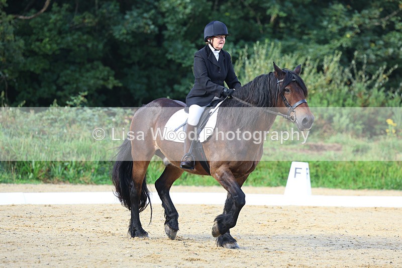 3E7A1876 - Class 1: Intro 4 2024 section A