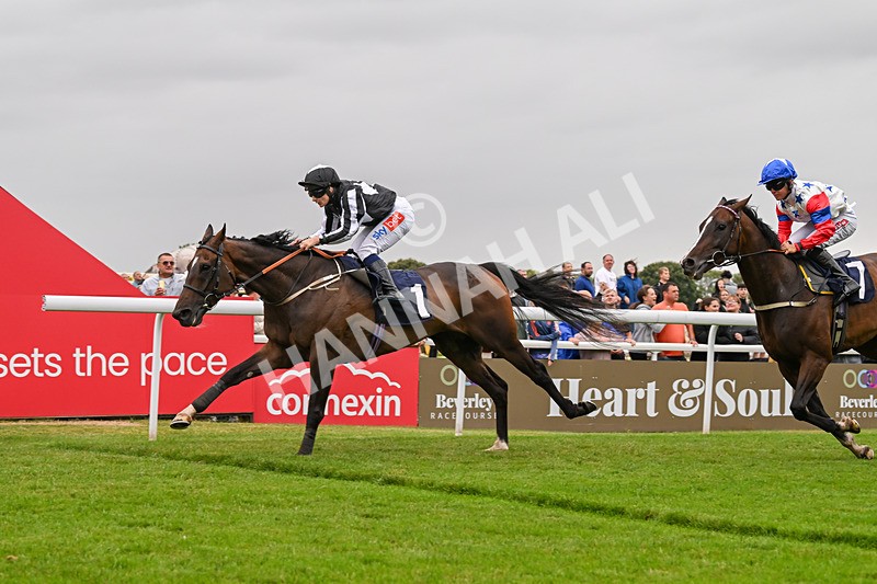 150824-Race 5-Pons Aelius-8324 - Race 5