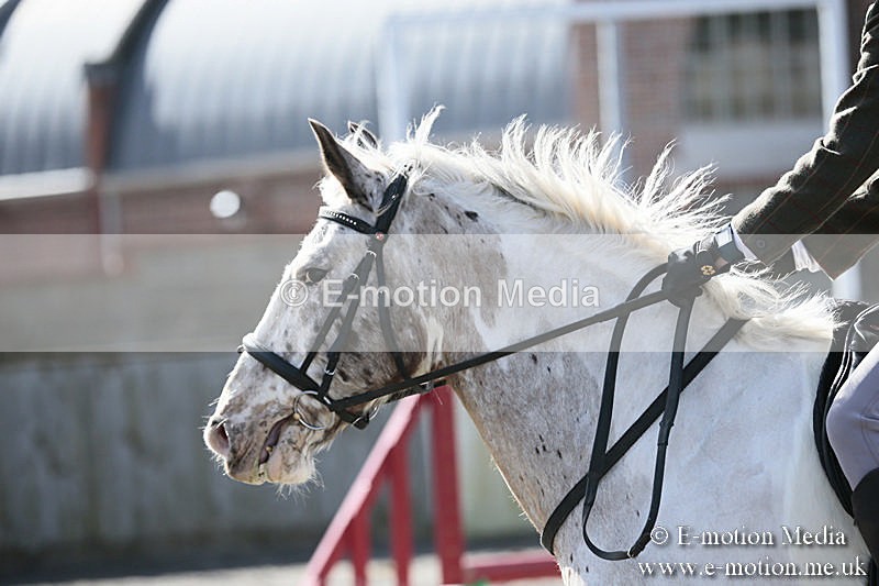 BVRC SJ 170319 225 - Bourne Valley Riding Club Showjumping 17/03/19