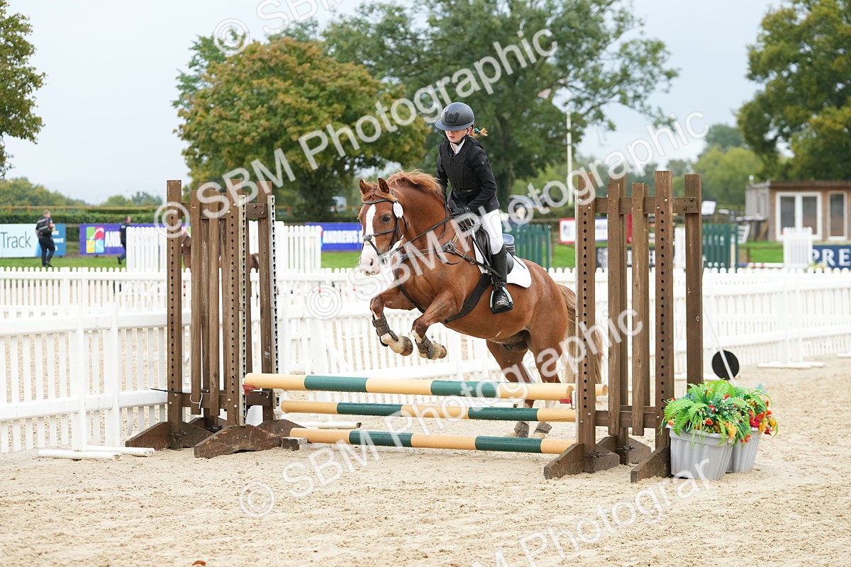 SBM_32480 - J5 - Junior Pony 50cm Championship
