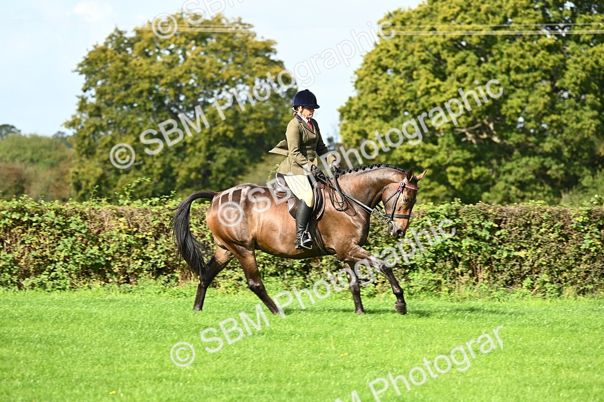 SBM_01775 - S2 - TSR Ridden Horse Showing