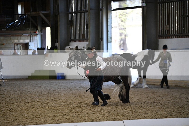 WJ5_3740 - Class 5 In Hand Veterans