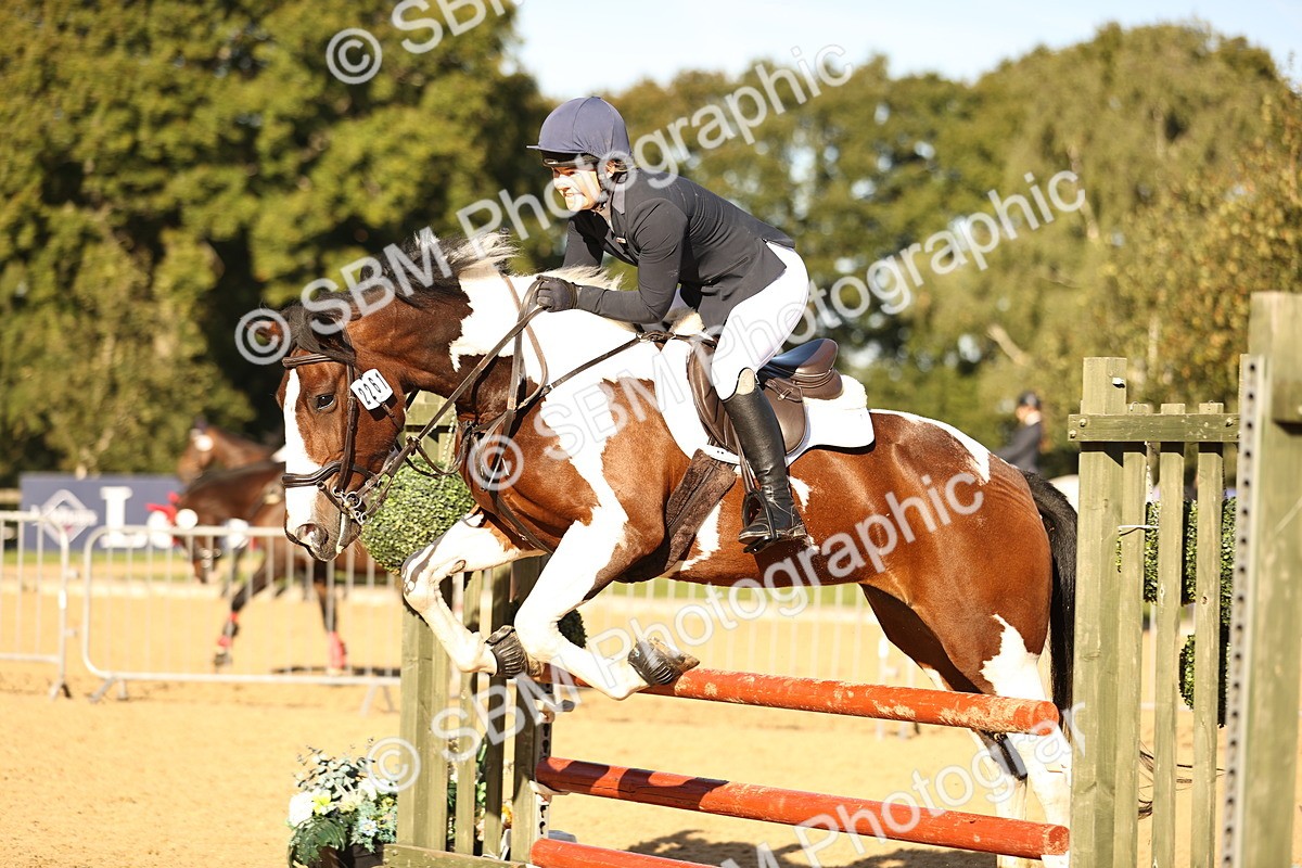 SBM_34780 - J38 - Senior 80cm Championship