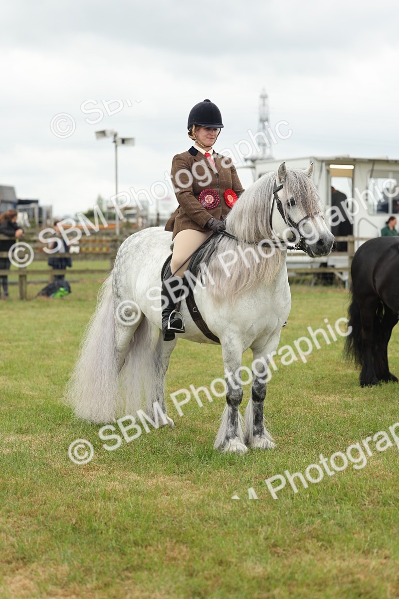SBM_09035 - Class 78-80 - Ridden M&M Non Welsh Ponies