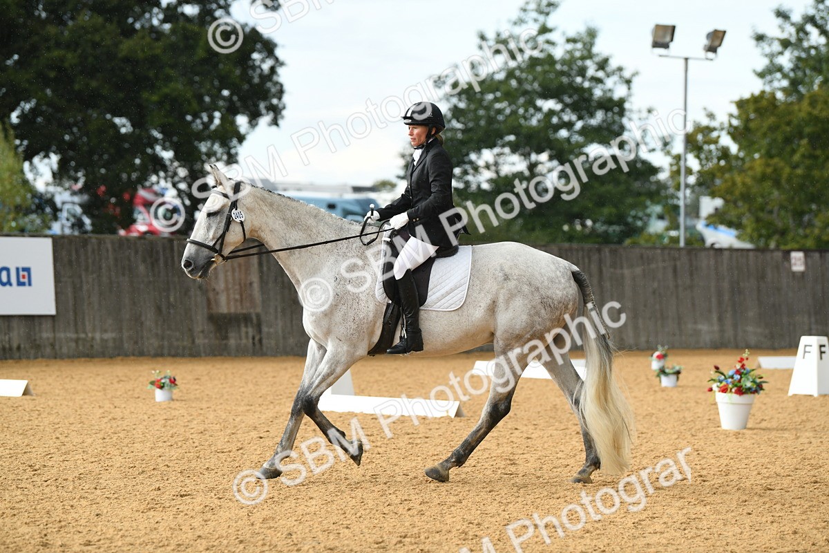 SBM_11181 - D28 Elementary Taster Elementary 42