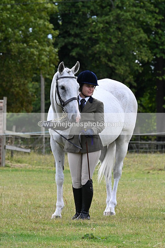 WJ7_7215 - Class 5a Most Handsome Gelding in Hand