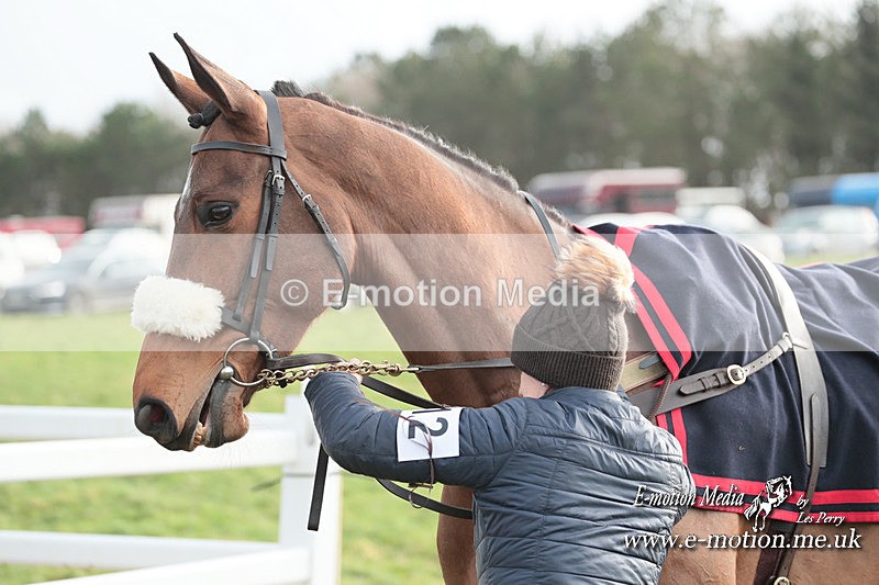 PtP 311223 354 - Larkhill Racing Club Point-to-Point 31/12/23