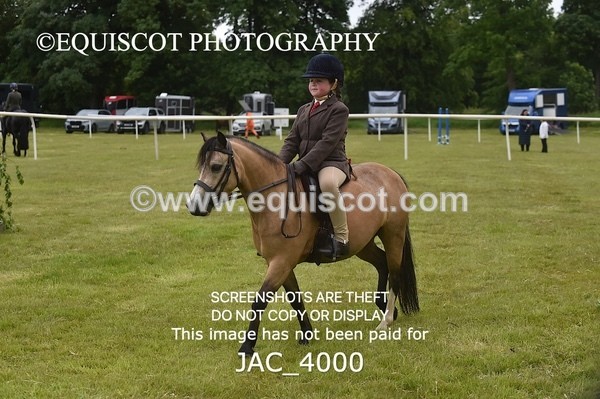 JAC_4000 - 40CM WORKING HUNTER