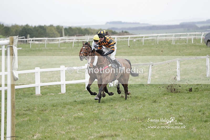 PtP 260323 0827 - New Forest Hounds Point-to-Point Larkhill 26/03/23
