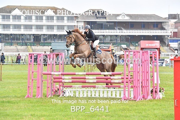 BPP_6441 - CLASS 1 Senior Newcomers/ 1.10m Open