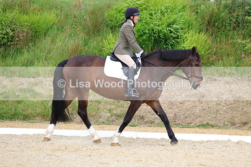 3E7A1526 - Class 2: Intro 2 2024 Section B