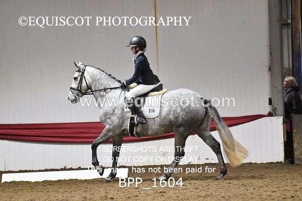 BPP_1604 - PC GRASSROOTS DRESSAGE