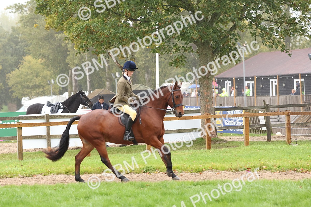 SBM_72999 - S63 Show Pony & Show Hunter Pony Ridden