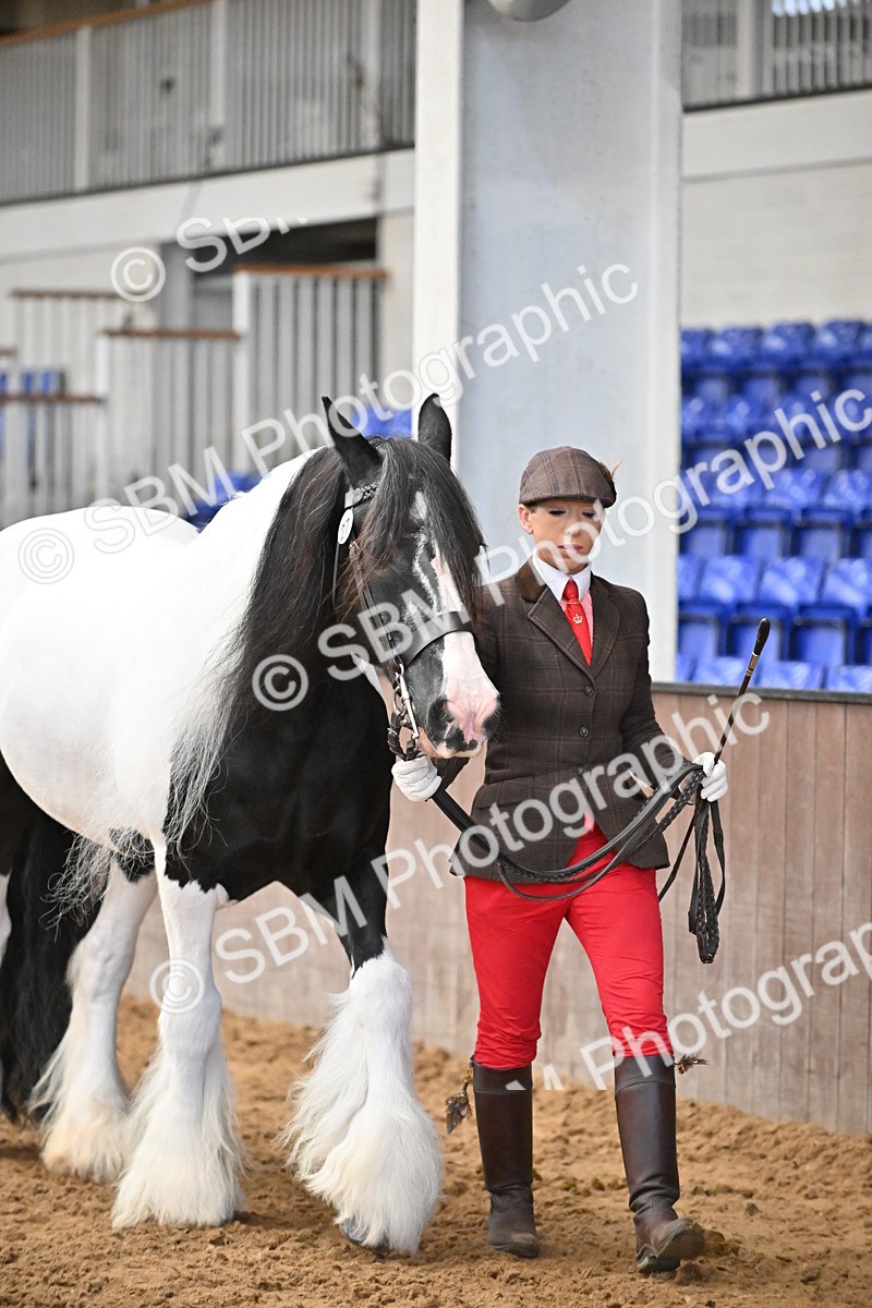 SBM_000654 - Class 11,12,13 - SSADL In Hand Seniors