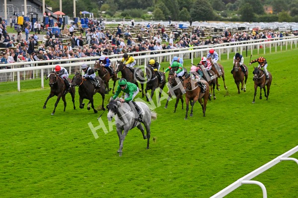 210824-Race 6-Star Of Lady M-5544 - Race 6 4.45pm Visit Irish Yearling Sale With ITM Fillies' Handicap