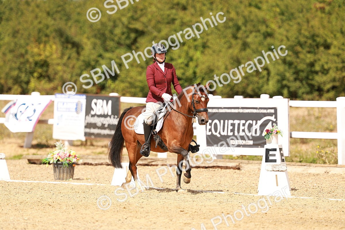 SBM_018630 - Class 9 - N5 Bronze 11.57.13.07