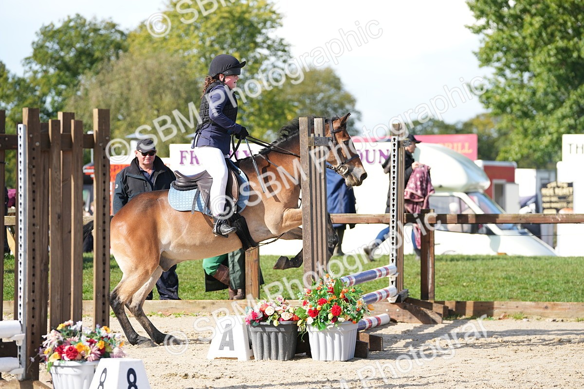 SBM_38227 - J6 - Junior Pony 55cm Championship
