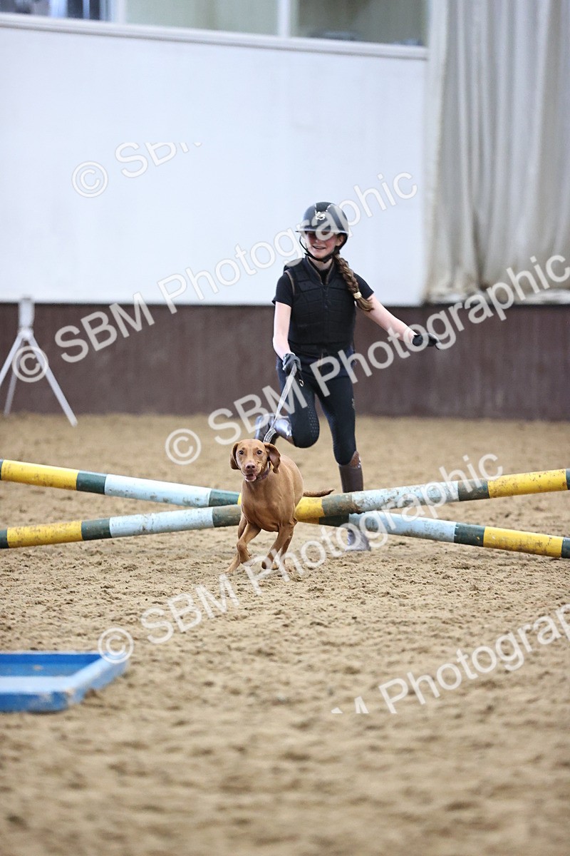 SBM_001289 - Class 3 - Horse & Hound 60cm
