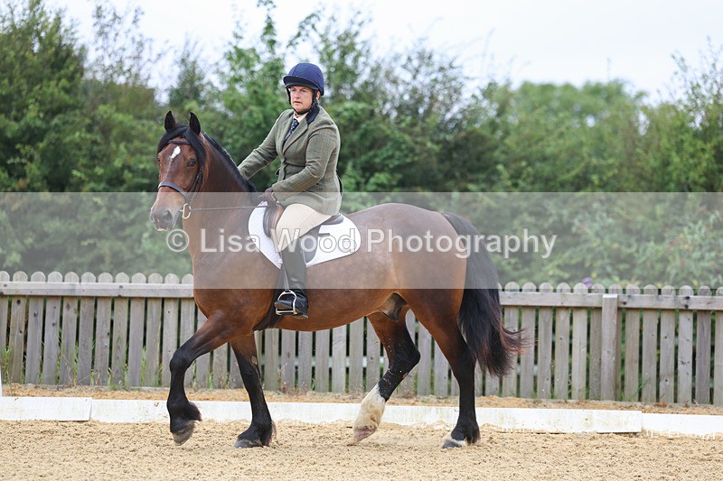 3E7A4576 - Class 1: Intro 4 2024 section A