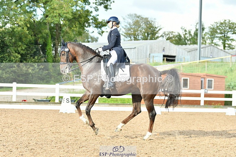 230912A-171431-01969 - Cls 23 FEI Grand Prix