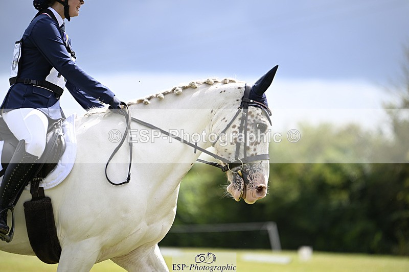 240824X-124917-26554 - D80 Section E and F 12.00 to 13.20