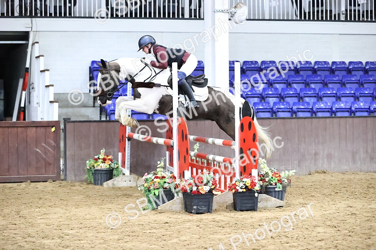 SBM_002903 - Class 14 - Senior British Novice - 90cm