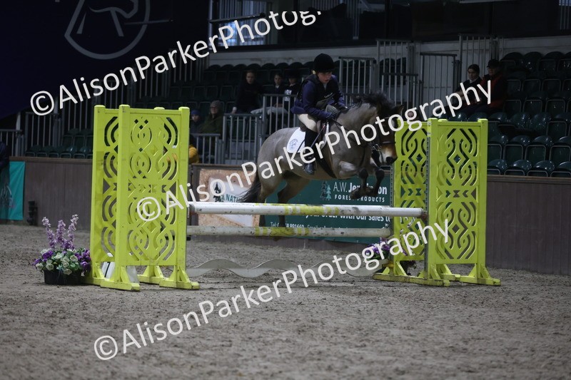 20260125-5181 - Class 5 - 80cm