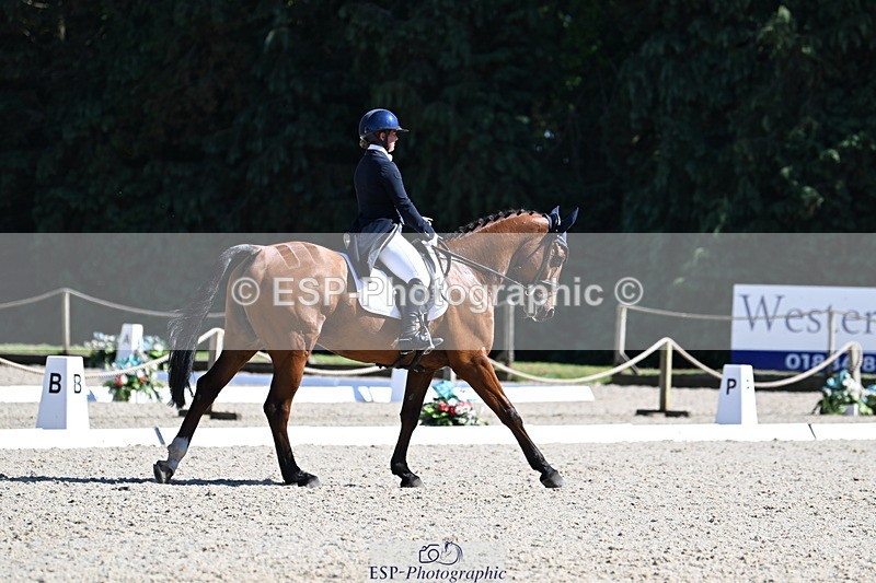 250522A-161017-04852 - C-229-Ellie.Healy-BALLADEER.JUST.FOR.KICKS