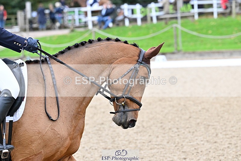 251022A-143950-00344 - B-105-Emily.Grace