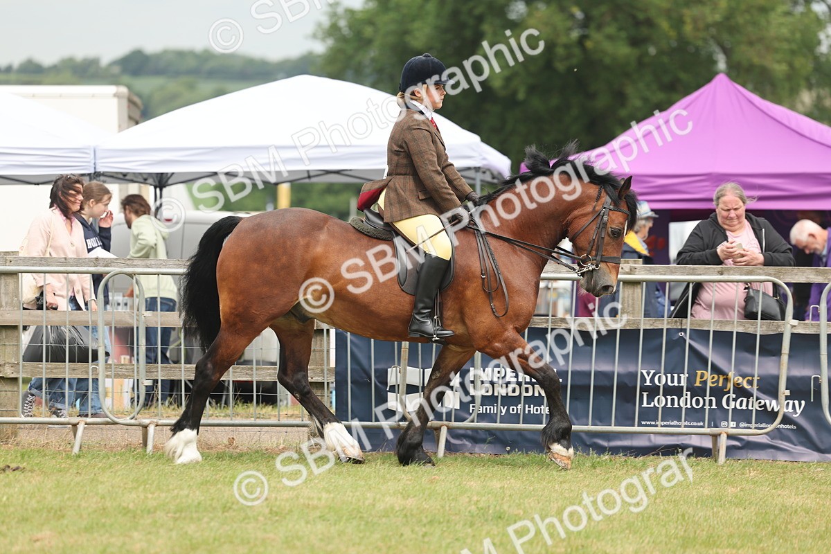 SBM_07169 - Class 76-77 - Ridden M&M Welsh Ponies
