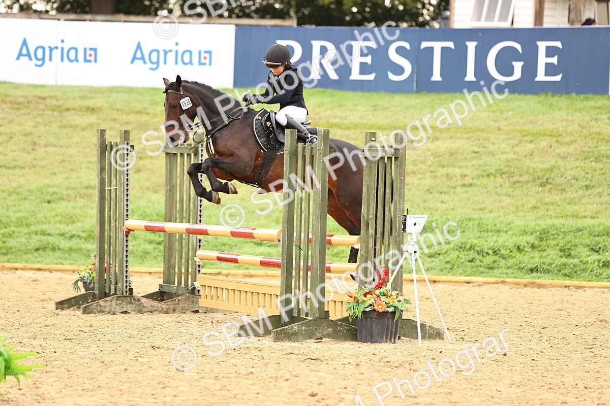 SBM_58286 - J41 - Grand Tour Horse & Pony 95cm