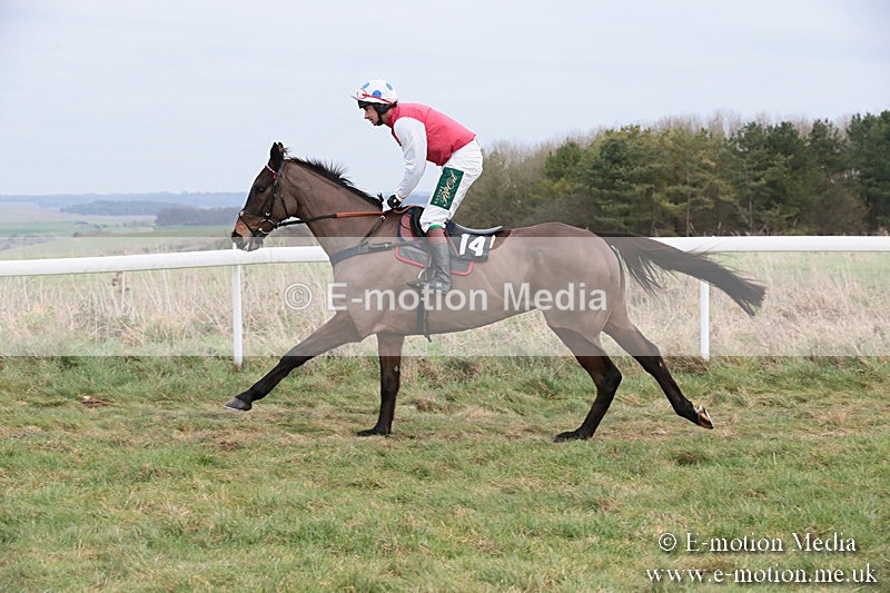PtP 060119 216 - Larkhill Racing Club - Point-to-Point- 06/01/2019