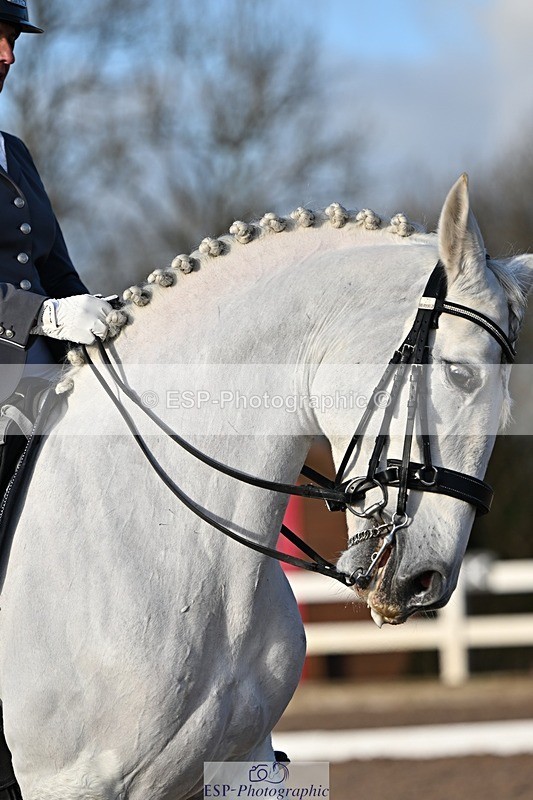 241214-135026-02600 - 102-PAULA.LEE-Deseado.Santo