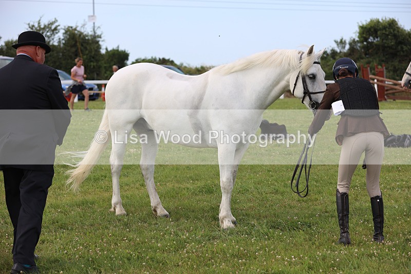 JPP_3913 - Class 23: Working Hunter 80cm