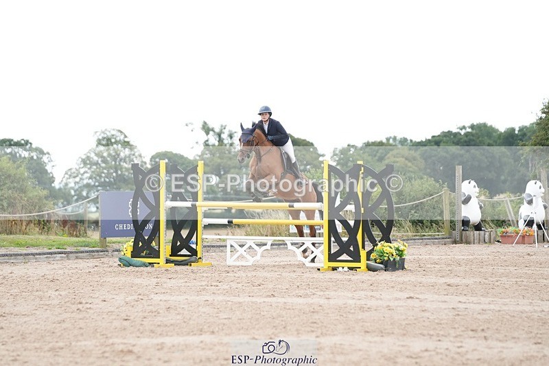 250803-125521-13198 - Cls 27 Chard Equestrian 5 Year Old Championship