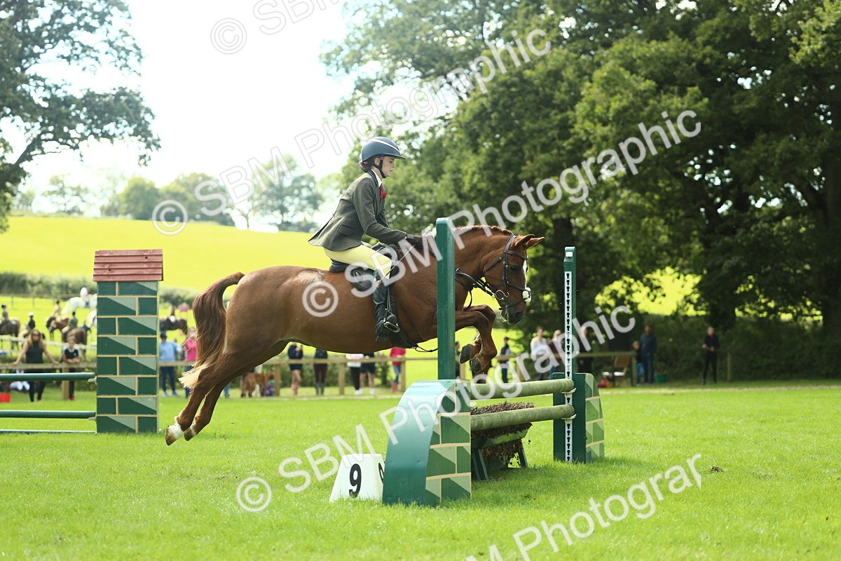 SBM_44571 - S31 - Working Hunter Pony