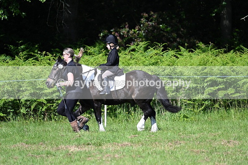 WJ7_0447 - Class 8 First Rally Pony