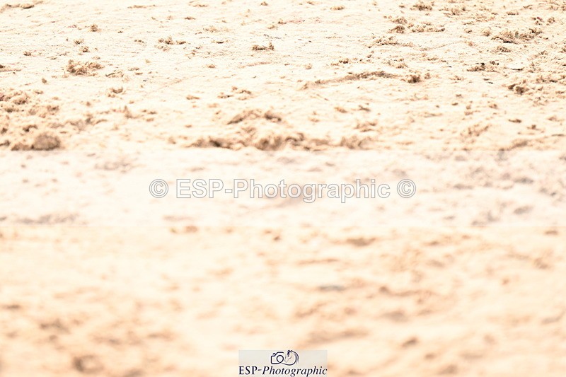 240721A-090342-16767 - Cls 20, 1 Star Gold Tour 1.35m