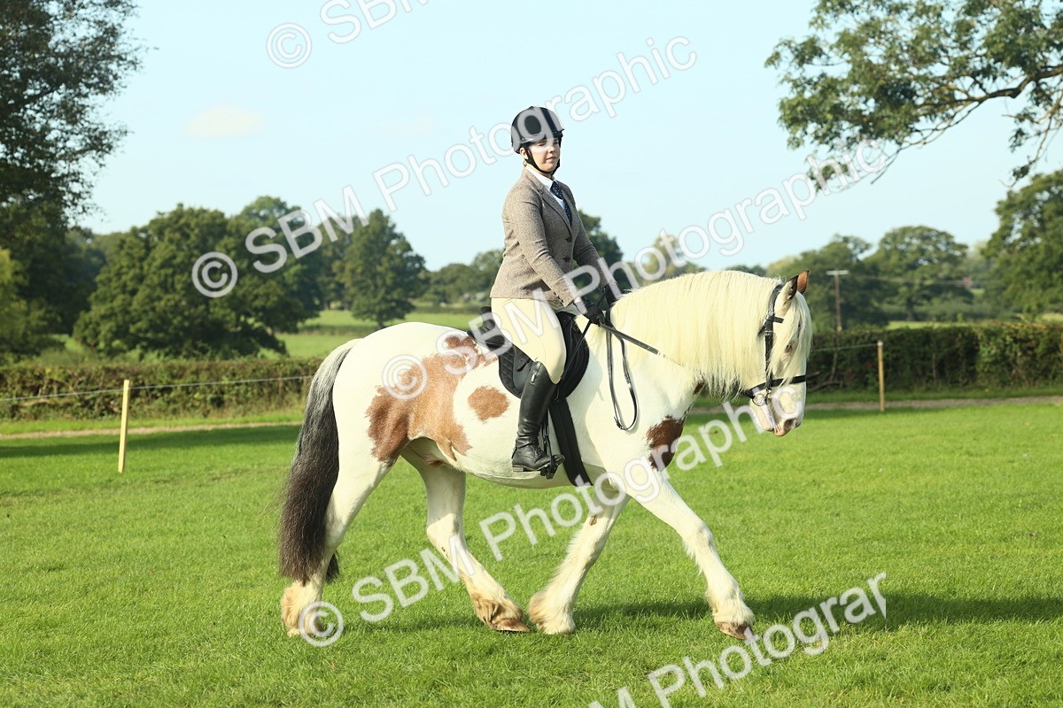 SBM_59846 - S38 - Starters Ridden Showing